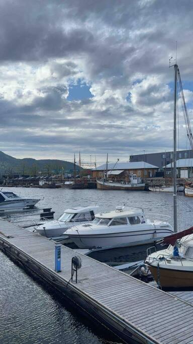 City Center Stylish Loft Trondheim Ngoại thất bức ảnh